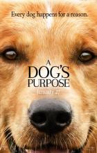 A Dog's Purpose - Lasse Hallström