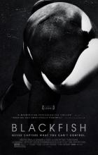 Blackfish - Gabriela Cowperthwaite