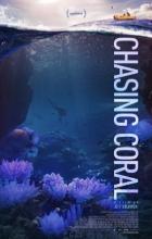 Chasing Coral - Jeff Orlowski
