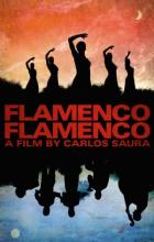 Flamenco, Flamenco - Carlos Saura