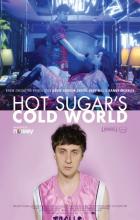 Hot Sugar's Cold World - Adam Bhala Lough