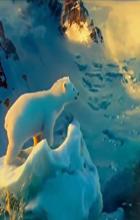 The Polar Bears - John Stevenson, David Scott(co-director)