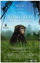Bonobos: Back to the Wild - Alain Tixier
